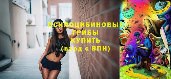 бошки Пролетарск