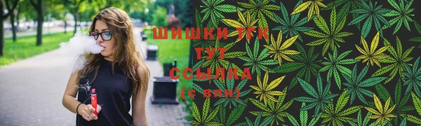 сатива Протвино