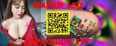 apvp Гусев