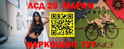 apvp Гусев