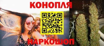 apvp Гусев
