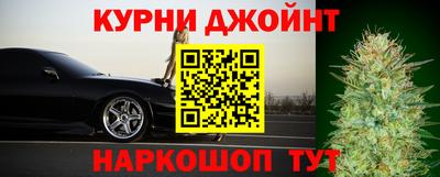 apvp Гусев