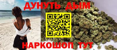 apvp Гусев