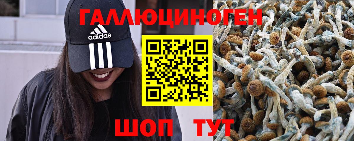 Галлюциногенные грибы Magic Shrooms  Вход с VPN  Стрежевой 