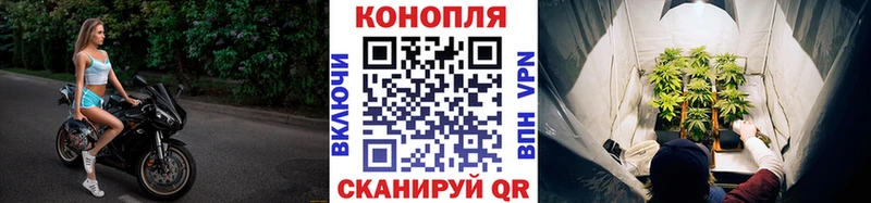 Канабис Amnesia Стрежевой