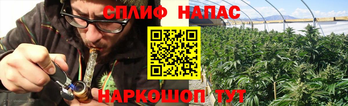 Бошки Шишки VHQ  Вход с VPN  Стрежевой  Бошки марихуана SATIVA & INDICA  Конопля планчик 